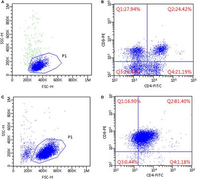 Flow Cytometric Analysis of Mediastinal Masses in Cats: A Retrospective Study